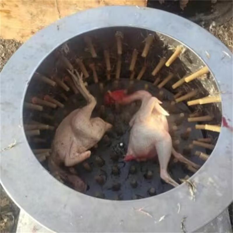 Chicken Plucker Machine - Новая машина для удаления волос с
