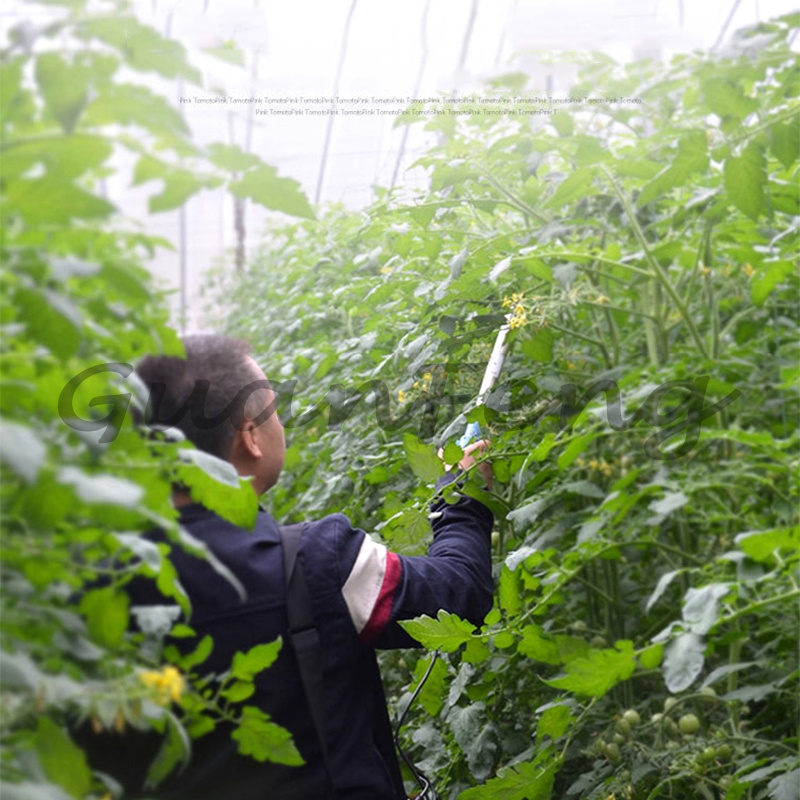 220В‑50Гц 6А Электрический виб – обзор и цена Agriculture Tomato Farming
