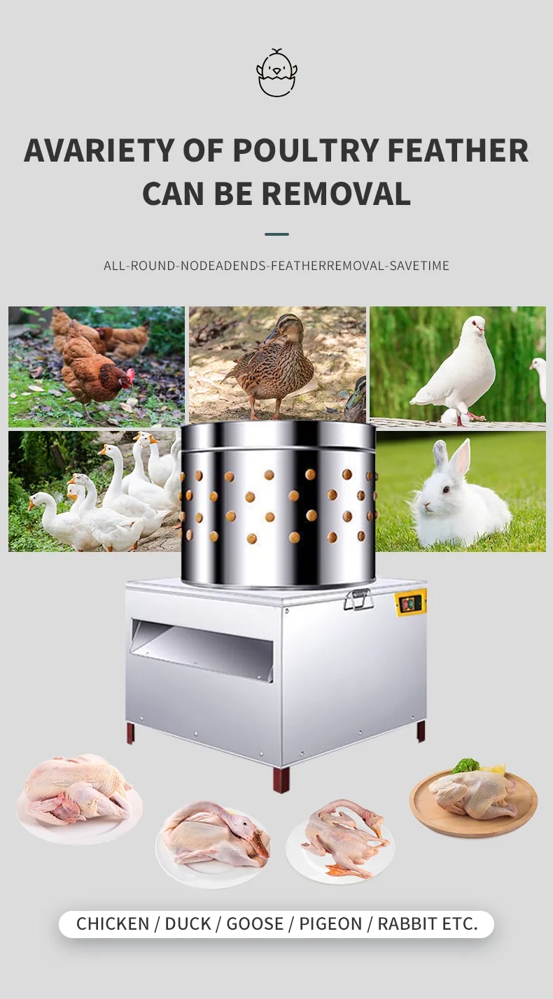 Машина для ощипывания куриных  – обзор и цена Chicken Plucker Machine
