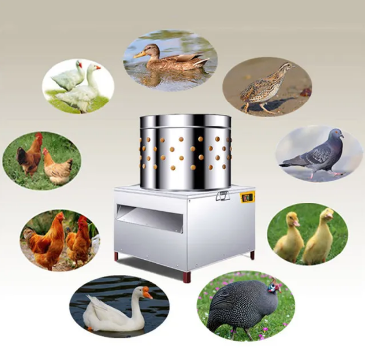 Коммерческая автоматическая ма – обзор и цена Chicken Plucker Machine