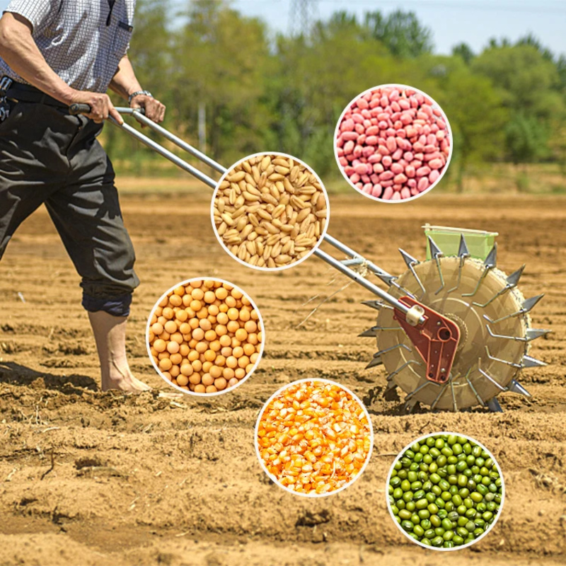Машина для посева лука, чеснок – обзор и цена Agriculture Onion Farming