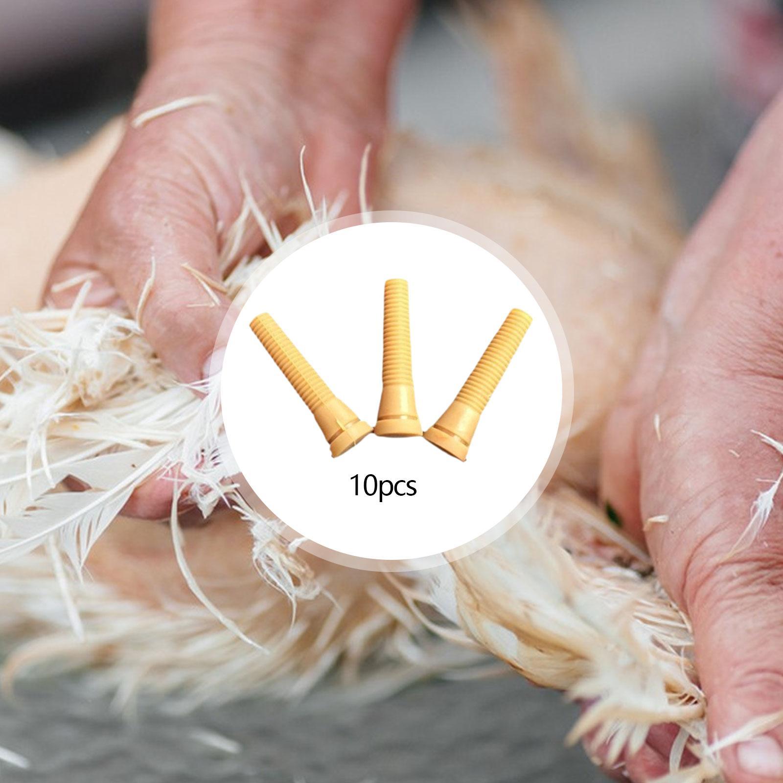 Запчасти для машины для ощипыв – обзор и цена Chicken Plucker Machine