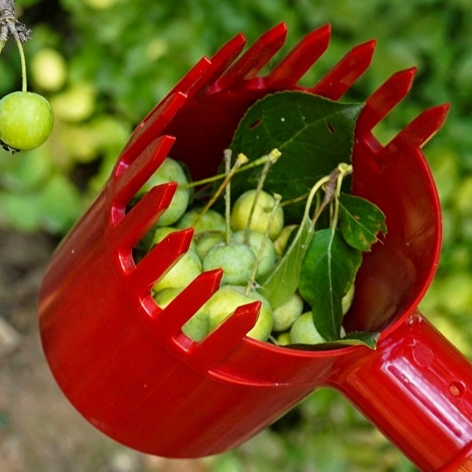 Портативный инструмент для сбо – обзор и цена Agriculture Tomato Farming