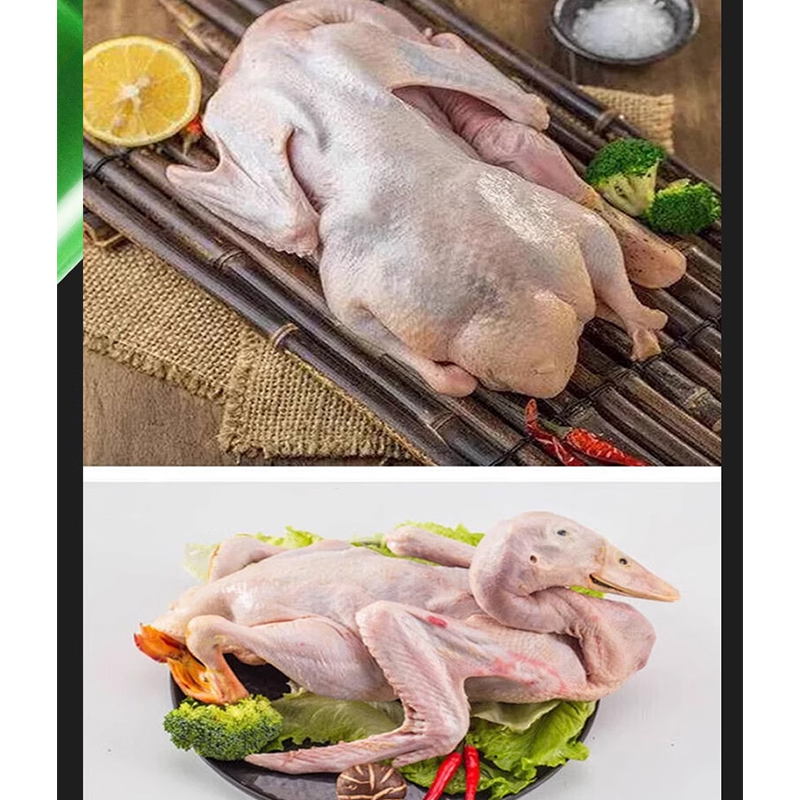 Ручная машина для выщипывания  – обзор и цена Chicken Plucker Machine