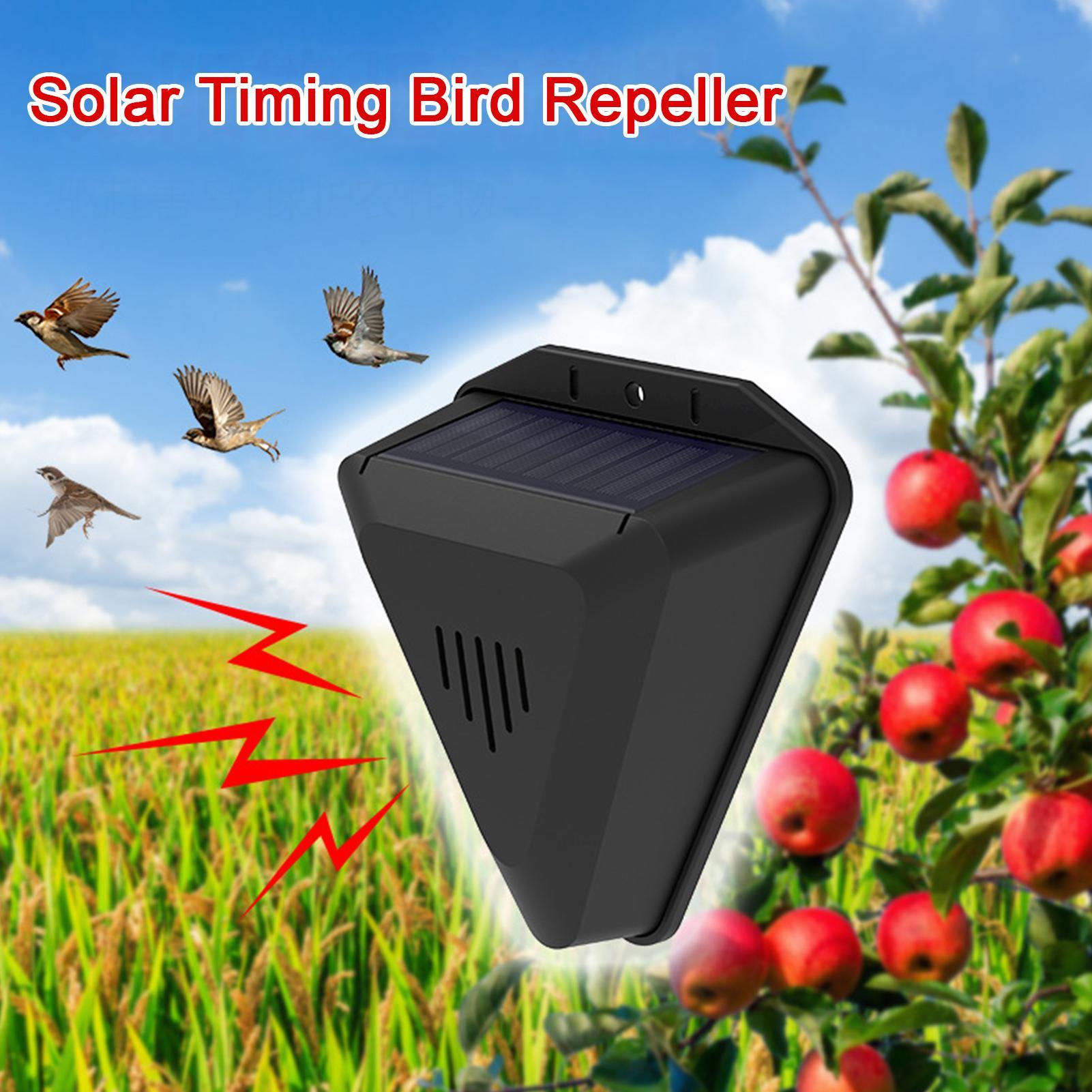 Водонепроницаемый солнечный от – обзор и цена Solar Bird Scarer
