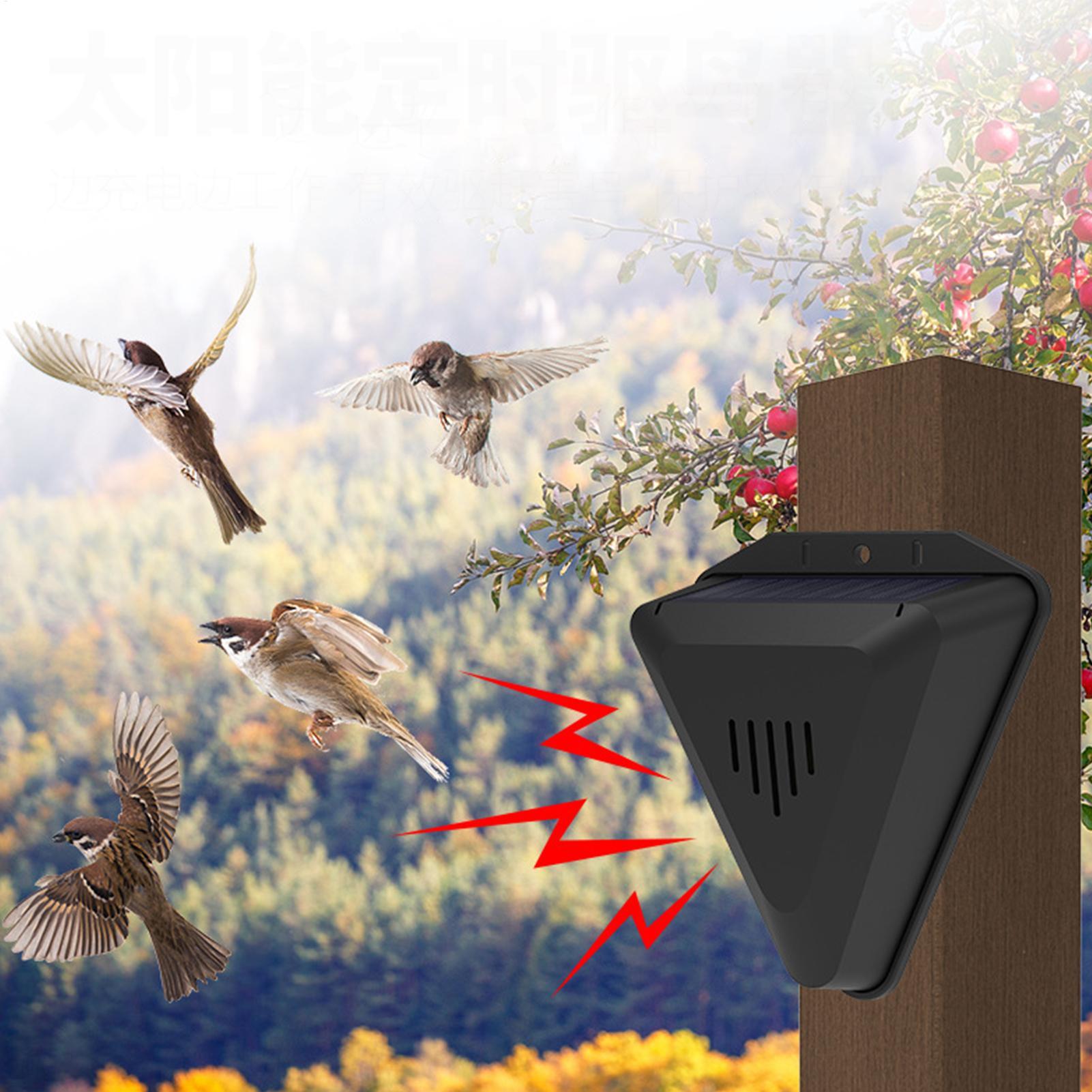 Водонепроницаемый солнечный от – обзор и цена Solar Bird Scarer