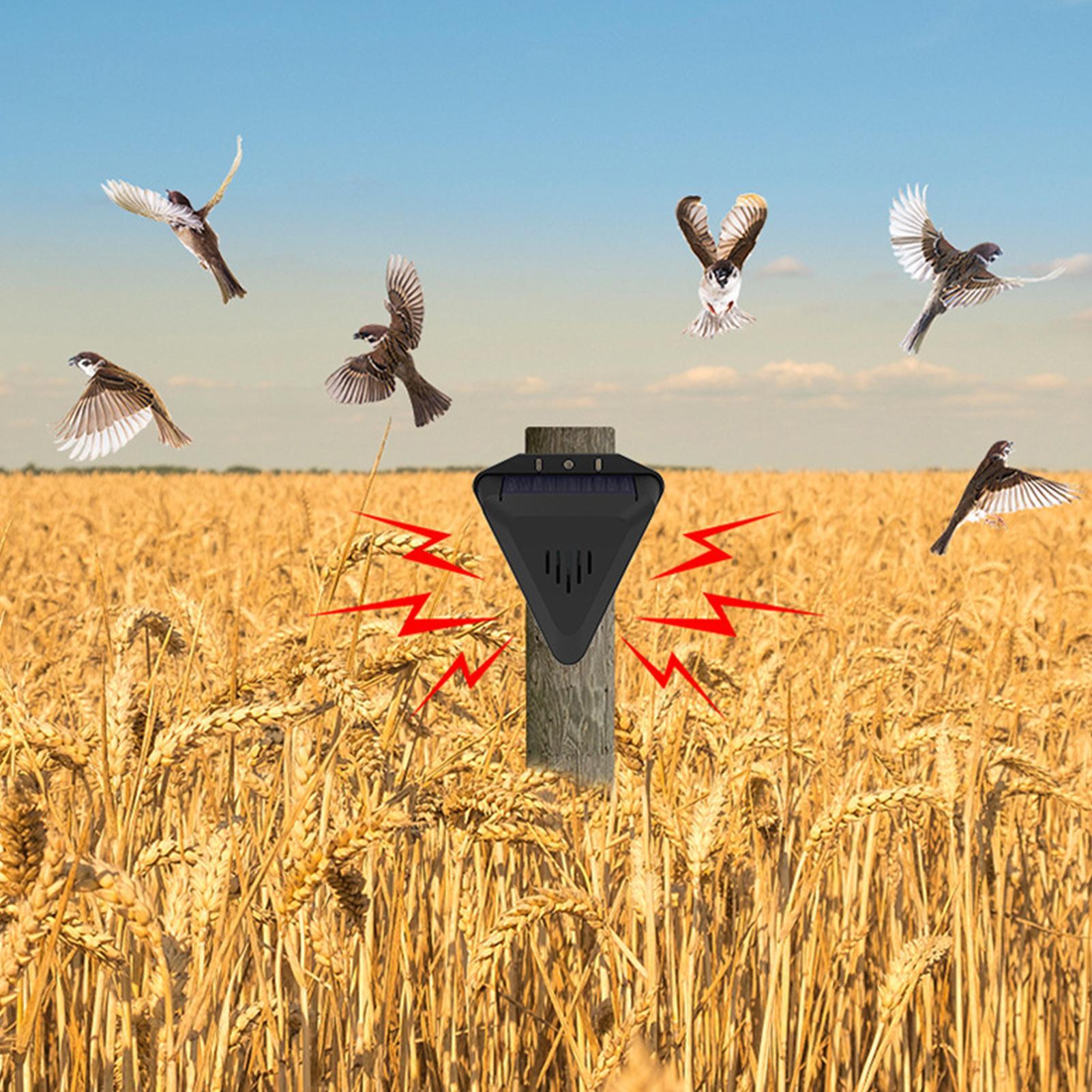 Водонепроницаемый солнечный от – обзор и цена Solar Bird Scarer