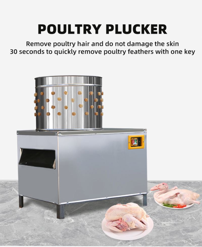 Оборудование для убоя птицы: М – обзор и цена Chicken Plucker Machine