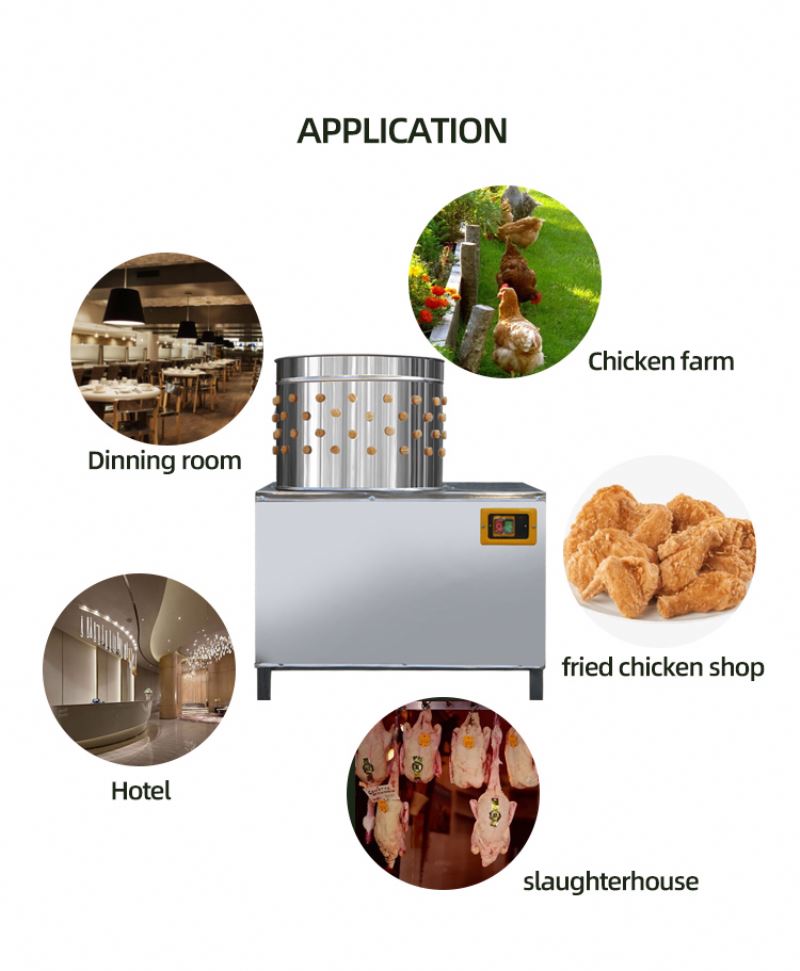 Оборудование для убоя птицы: М – обзор и цена Chicken Plucker Machine